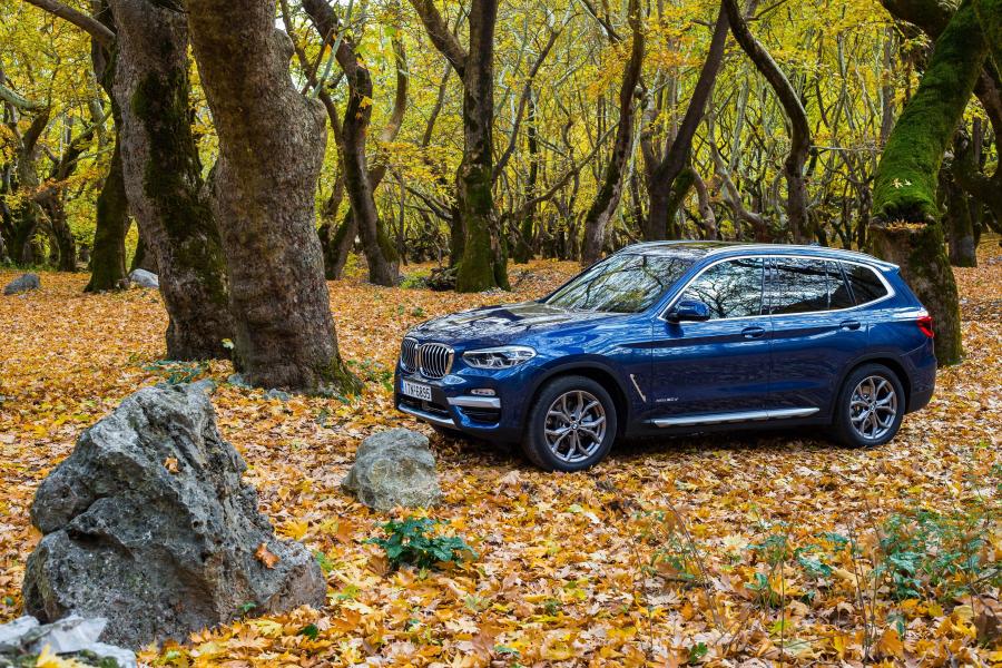  BMW X3 xDrive20d xLine (G01) 2017 года  (WW) (фото 26 из 40)